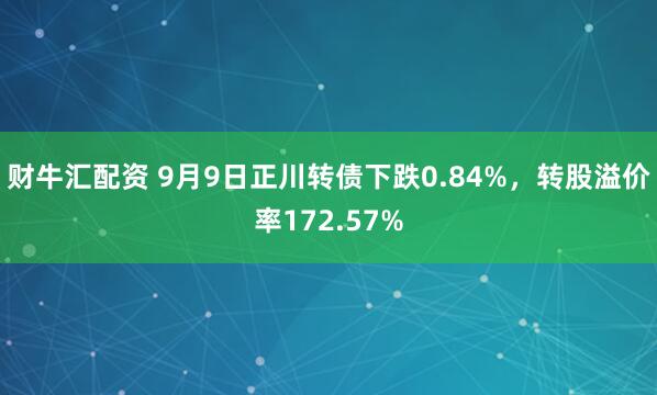 财牛汇配资 9月9日正川转债下跌0.84%，转股溢价率172.57%