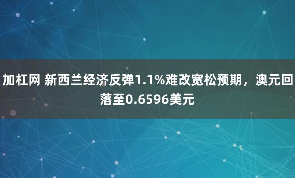 加杠网 新西兰经济反弹1.1%难改宽松预期，澳元回落至0.6596美元