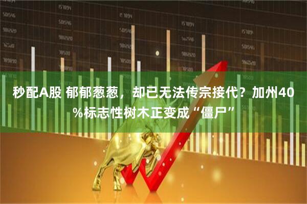 秒配A股 郁郁葱葱，却已无法传宗接代？加州40%标志性树木正变成“僵尸”